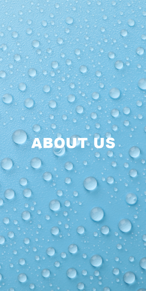 bt_about_us 1
