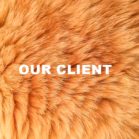 bt_our_client_1